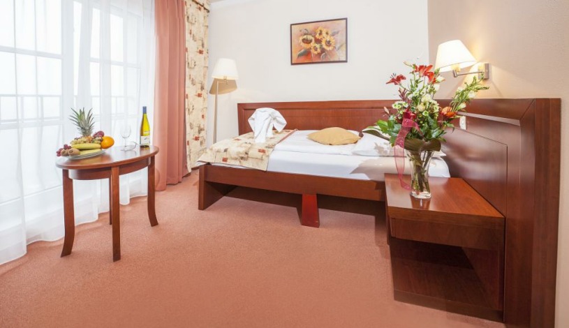 Hotel Francis Palace Františkovy Lázně